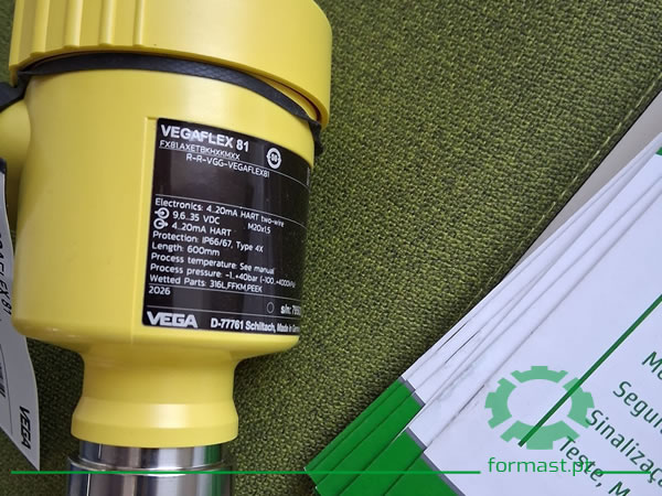 Medidor de Nível por Radar de Onda Guiada VEGAFLEX 81. Formast
