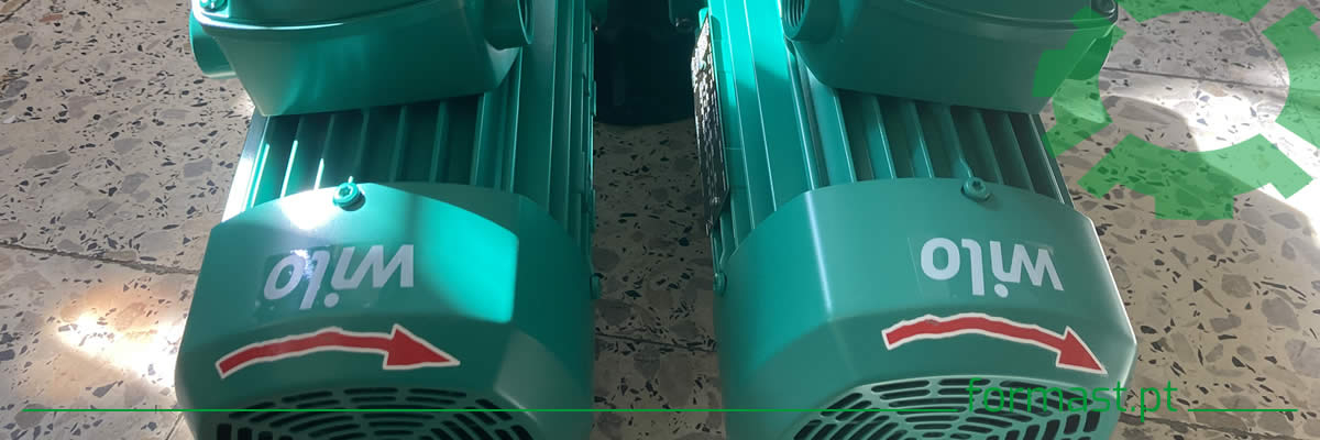 Bomba dupla Inline VeroTwin-DPL